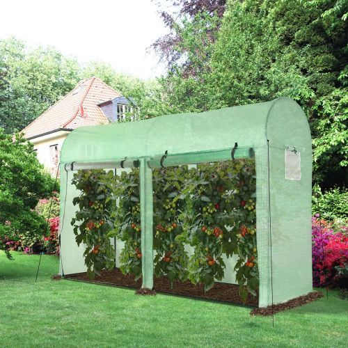 4 Windows Greenhouse Poly Tunnels With Double Doors - 3x1x 2M